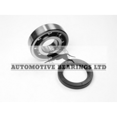 ABK138 Automotive Bearings Комплект подшипника ступицы колеса