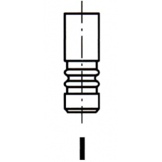 VL012100 IPSA Впускной клапан