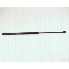 8710 25218 TRIDON Gas spring rear