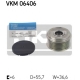 VKM 06406