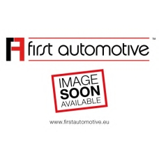 D20266 1A FIRST AUTOMOTIVE Топливный фильтр