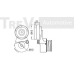 TA1721 TREVI AUTOMOTIVE Натяжная планка, поликлиновой ремень