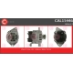 CAL15446