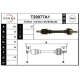T29077A1