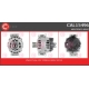 CAL15496