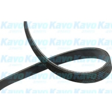 DMV-5516 KAVO PARTS Поликлиновой ремень