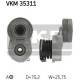 VKM 35311