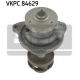 VKPC 84629