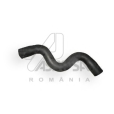 30386 ASAM Шланг радиатора